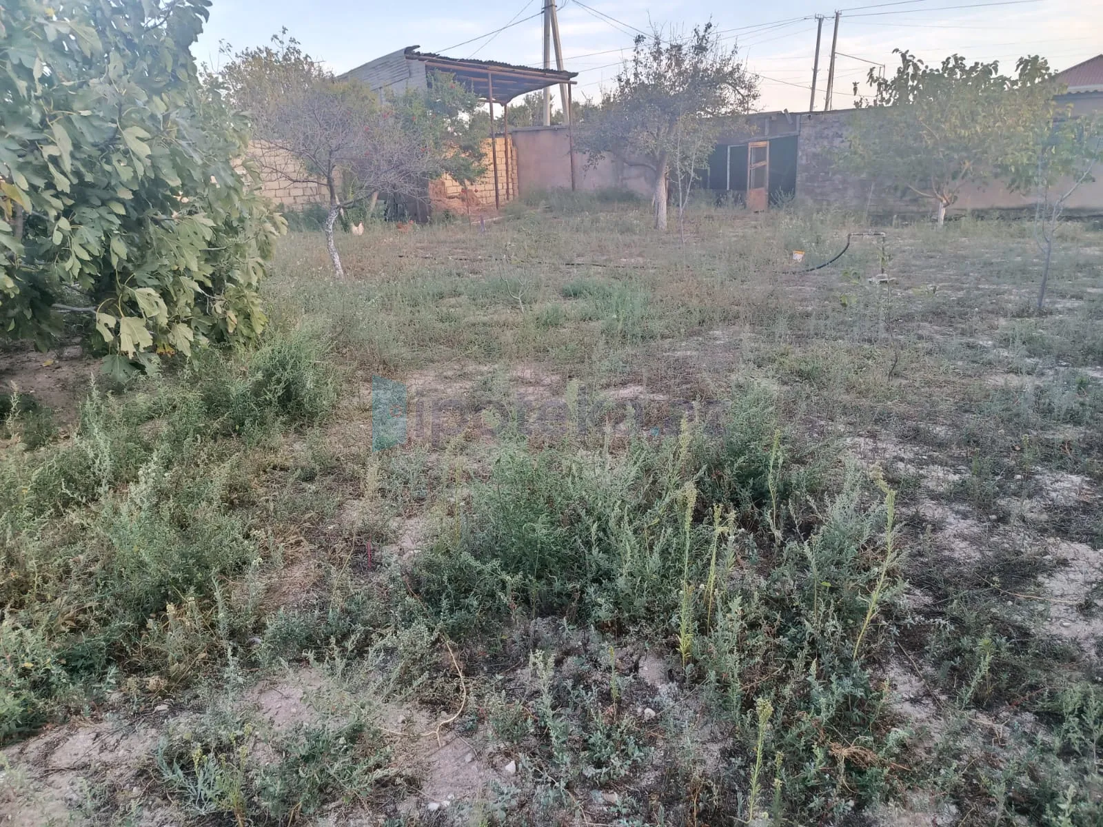 Satılır: Torpaq, Abşeron r., Saray q., 10.00 sot — Torpaq, Saray (2)
