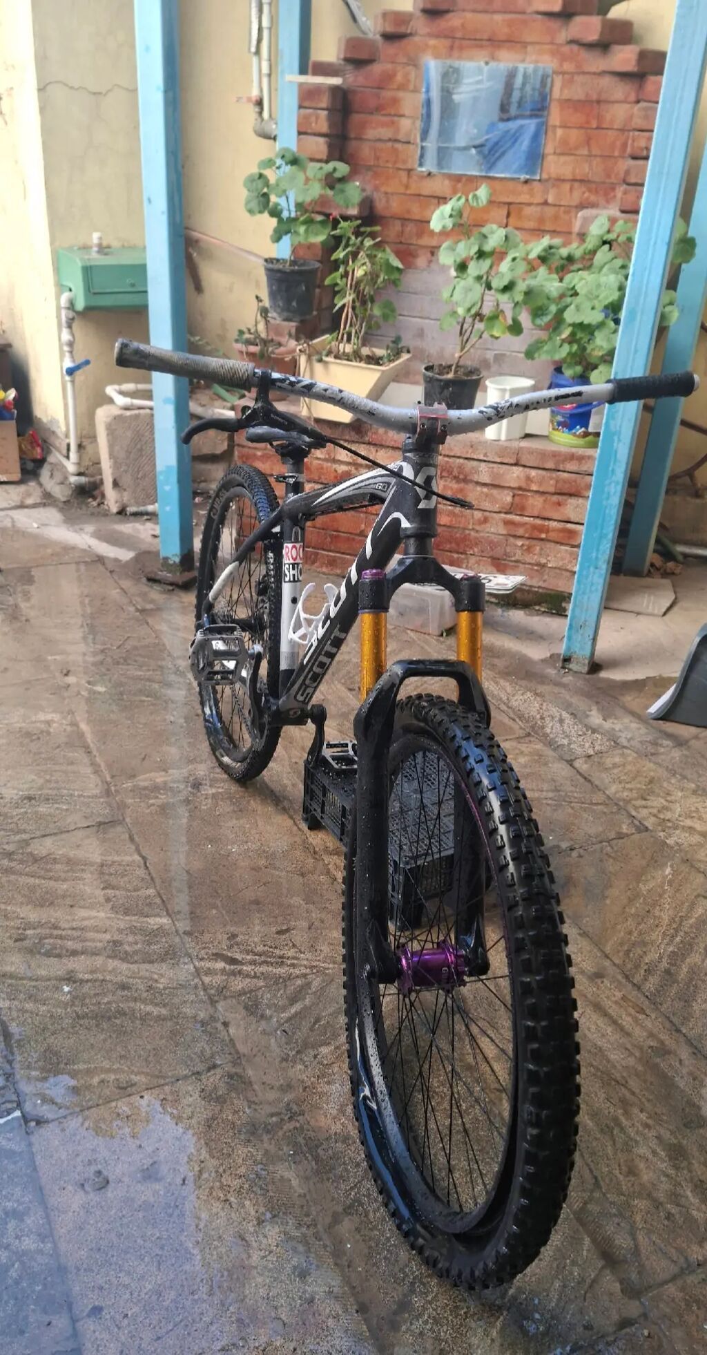 Scott Scale dağ velosipedi - Çərçivə: Scott Scale alüminium, hardtail — Dağ velosipedləri, Masazır (6)