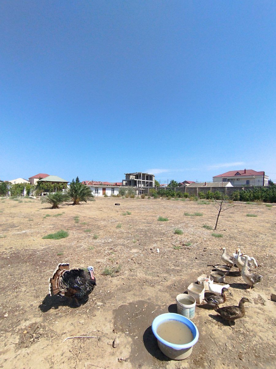 Satılır torpaq 45 sot — Torpaq, Bakı (5)