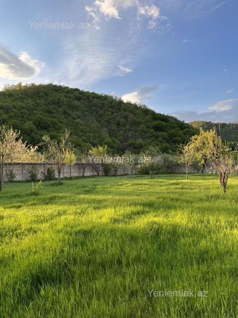 Satılır Torpaq sahəsi, 15 sot, Qəbələ — Qəbələ