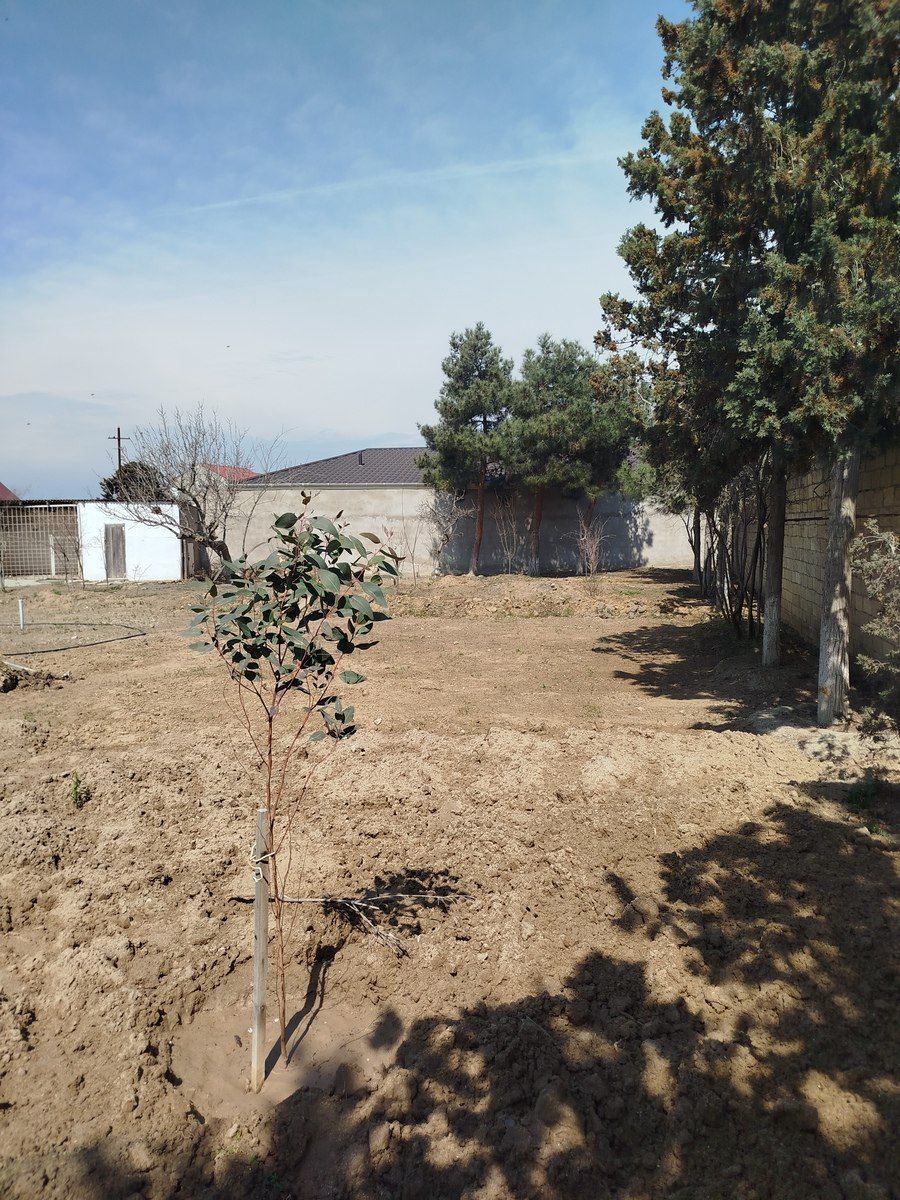 Satılır 4 otaqlı həyət evi/bağ evi 120 m² — Ev, villa, Bakı (2)