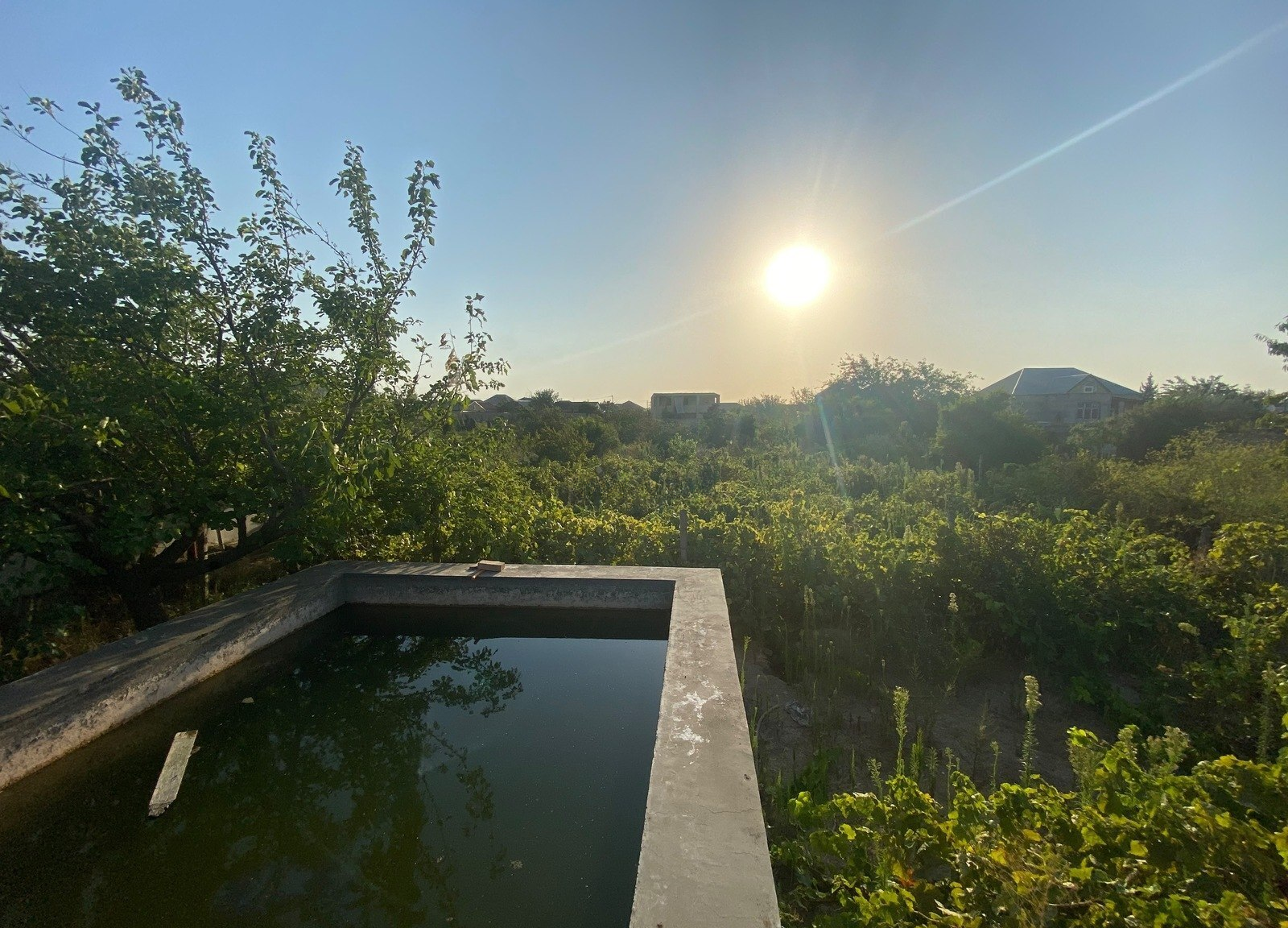 21.5 sot torpaq sahəsi satılır — Torpaq, Abşeron (9)