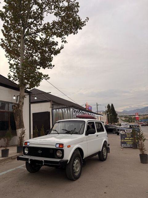 Lada (VAZ) Niva, 1.6 L, 2010 il, 55 000 km — Gəncə