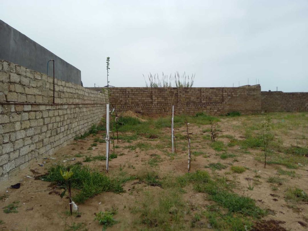 Satılır 3 otaqlı həyət evi/bağ evi 90 m² — Ev, villa, Bakı (3)