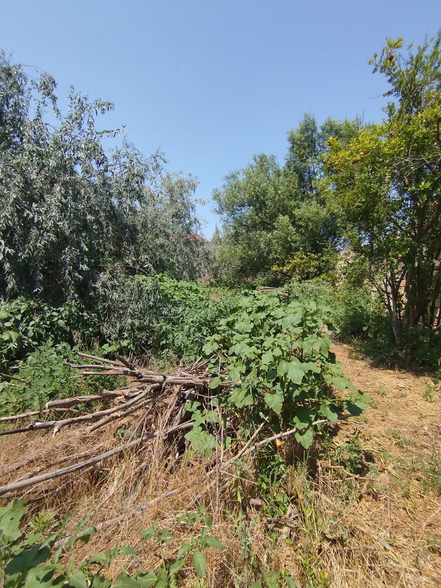 Satılır torpaq 20 sot — Torpaq, Bakı (4)