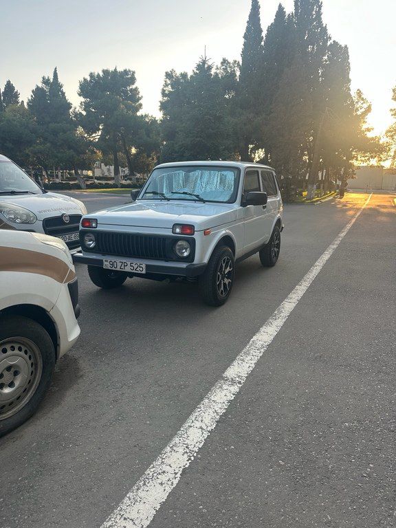 Lada (VAZ) Niva, 1.7 L, 2013 il, 258 431 km — Avtomobillər, Gəncə (10)