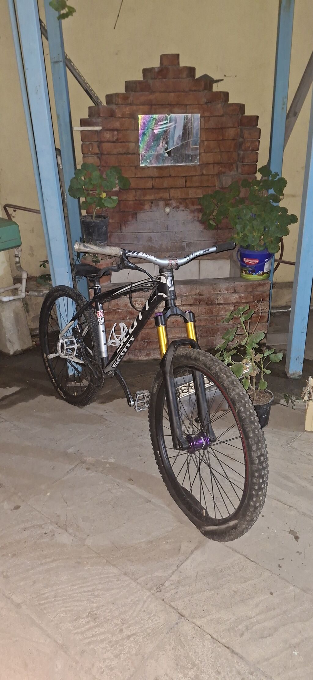 Scott Scale dağ velosipedi - Çərçivə: Scott Scale alüminium, hardtail — Dağ velosipedləri, Masazır (8)