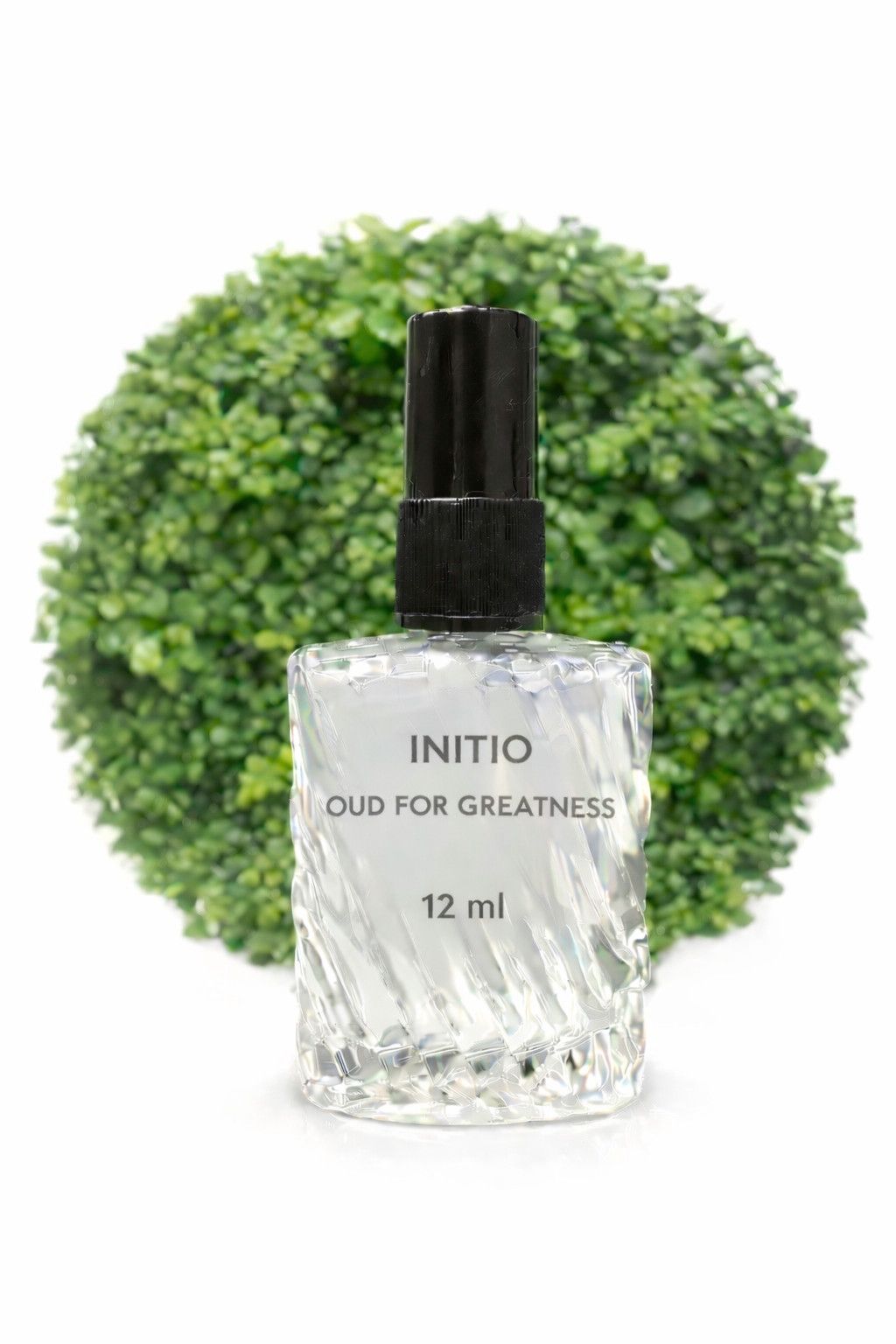 Tac İnitio Oud For Greatness kişilər üçün ətir suyu uniseks 12 ml — Mallar, Bakı