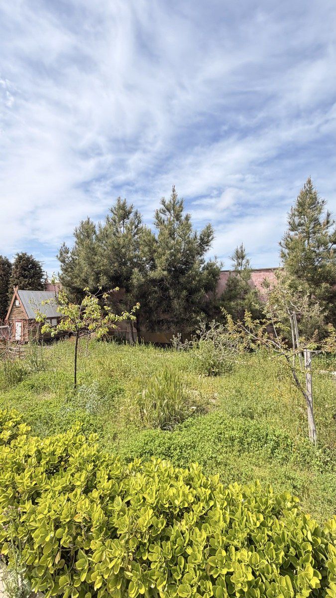 Satılır 4 otaqlı həyət evi/bağ evi 140 m² — Ev, villa, Bakı (9)