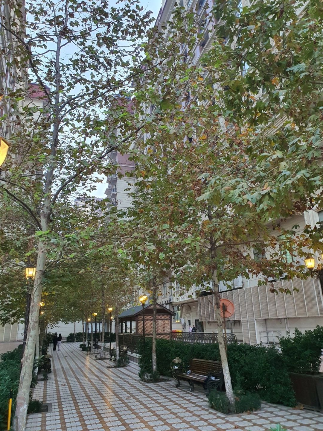 Satılır 3 otaqlı yeni tikili 114 m² — Mənzil, Bakı (3)
