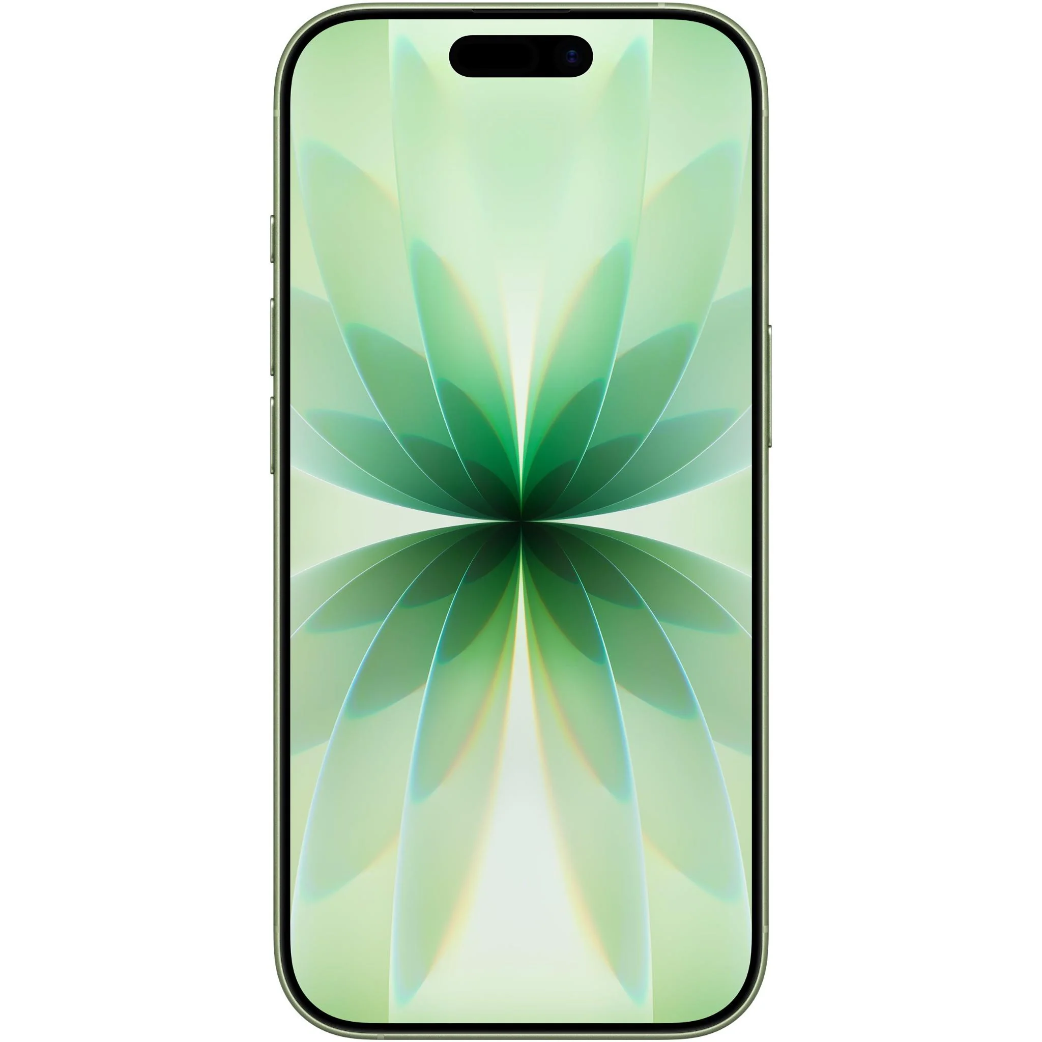 Apple iPhone 17 256GB (Sage) — Telefonlar və qadjetlər, Bakı (2)