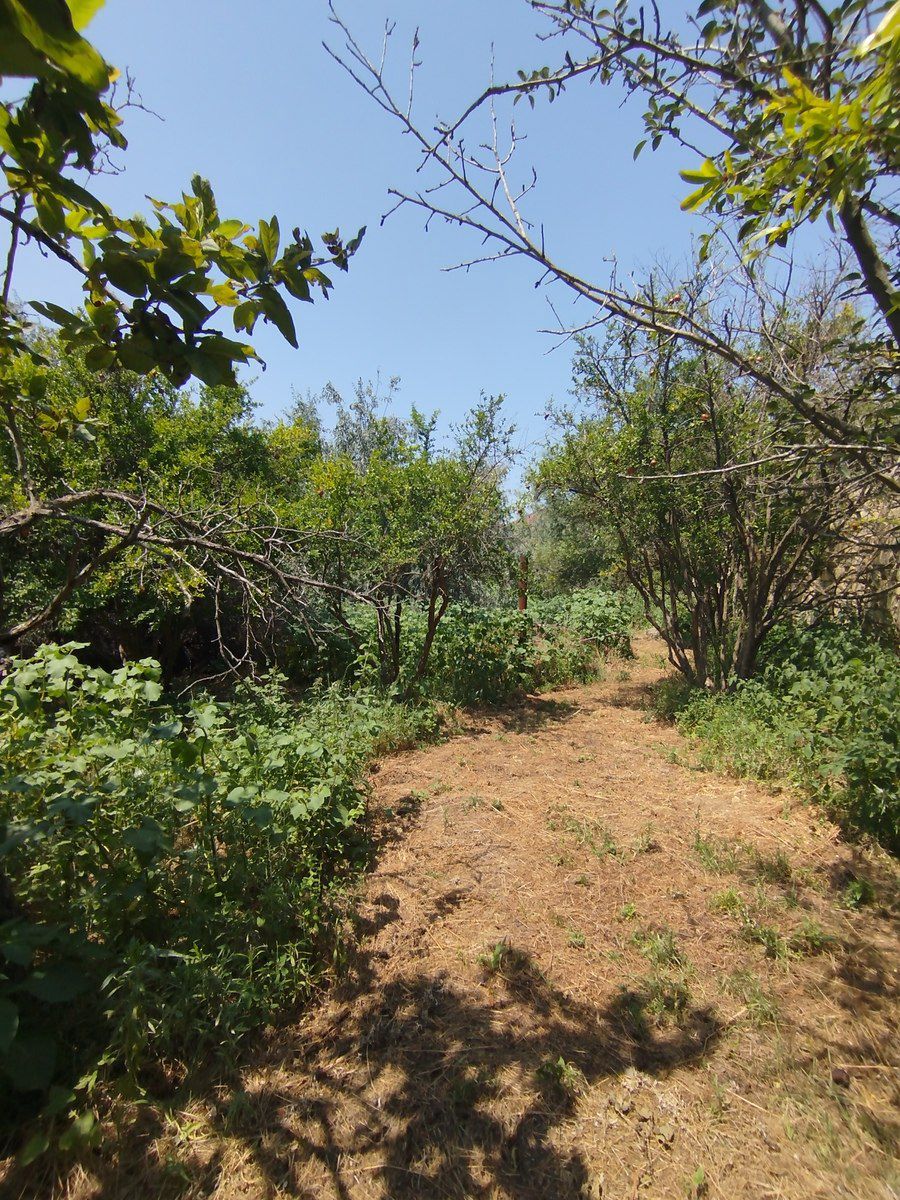 Satılır torpaq 20 sot — Torpaq, Bakı (11)