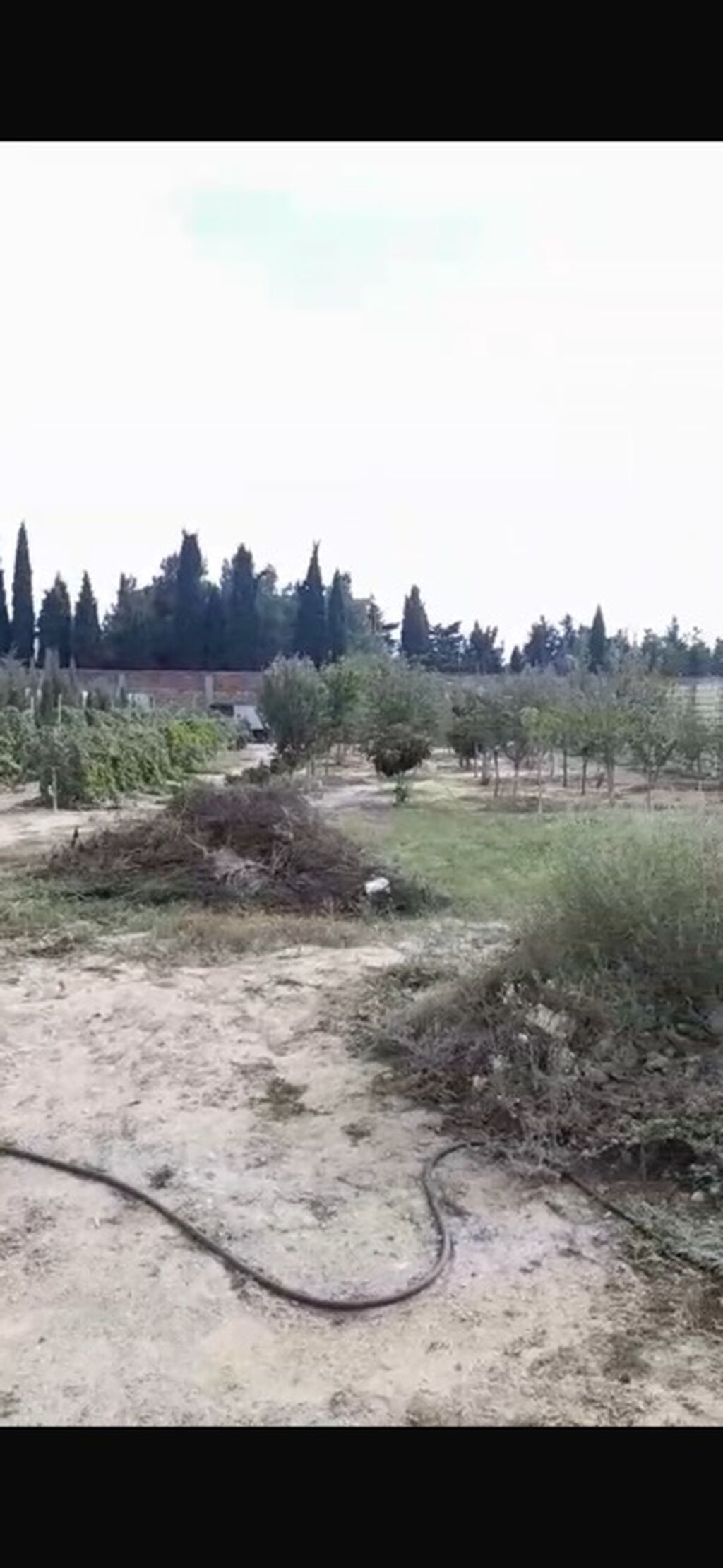 Kənd təsərrüfatı, Maklerlər narahat etməsin, Kupça (Çıxarış) — Torpaq, Bakı (3)