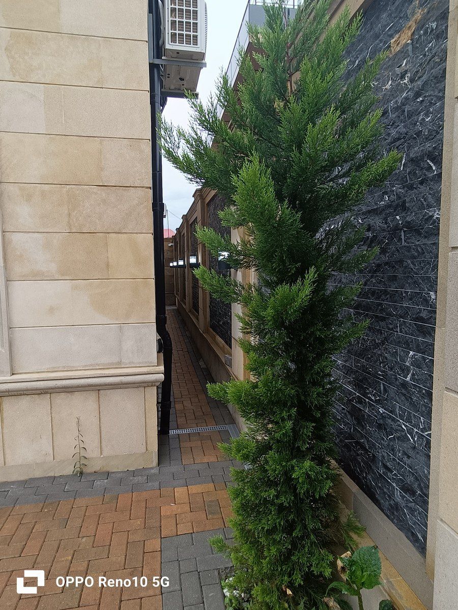 Satılır 5 otaqlı həyət evi/bağ evi 200 m² — Ev, villa, Bakı (11)