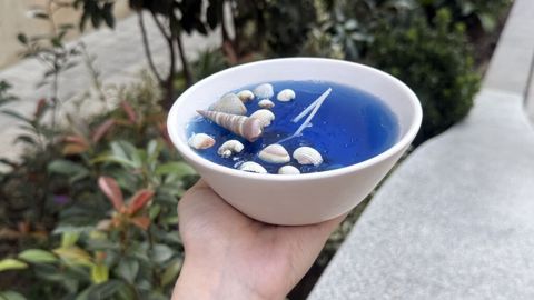 Şam — Bakı