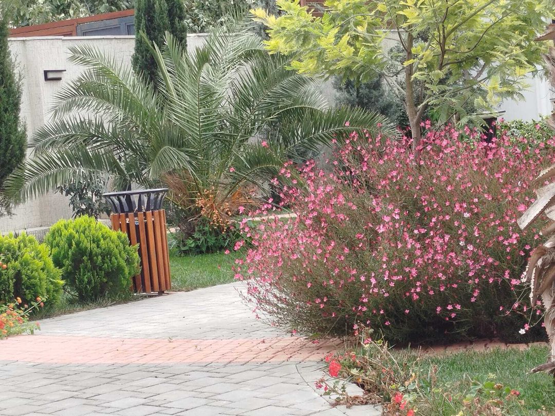 Satılır 6 otaqlı həyət evi/bağ evi 360 m² — Ev, villa, Bakı (12)