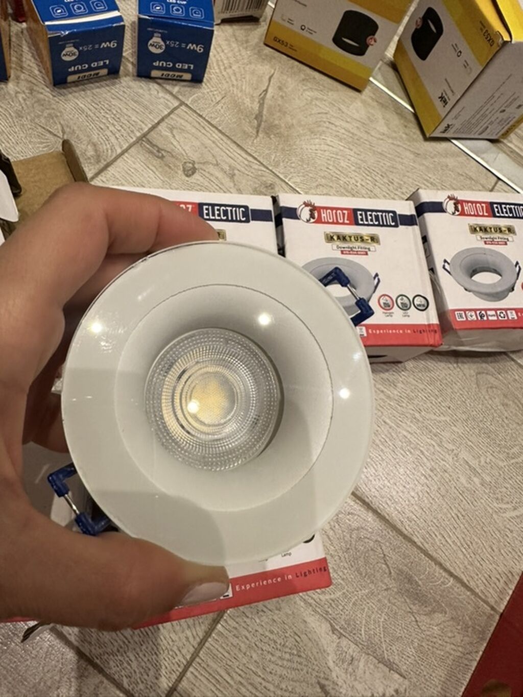 Horoz Electric Kaktus-r daxili spot işıq armaturları Biri 13 man — Spot və trek lambaları, Bakı (2)