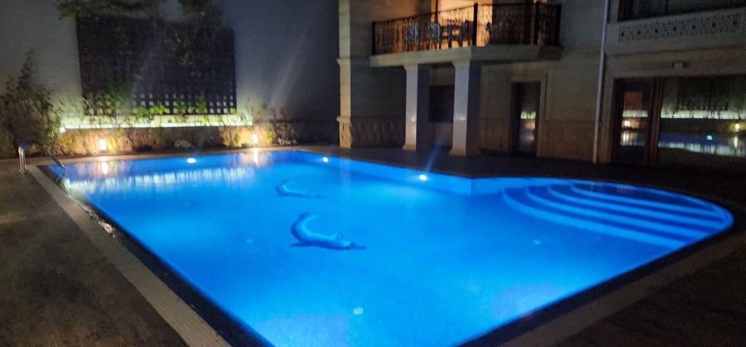 İcarəyə verilir 5 otaqlı həyət evi/bağ evi 500 m² — Ev, villa, Bakı (10)