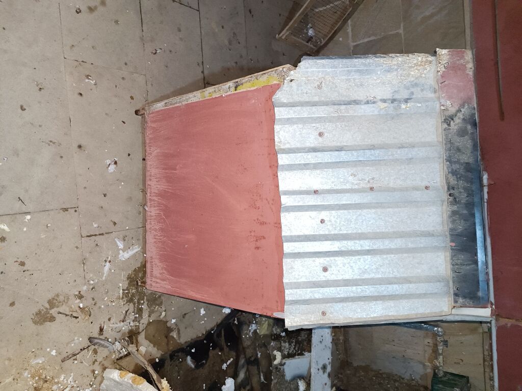 Taxta və metal damlı it evi - Material: korpus – qalın taxtadan; dam — Kunalar, Xırdalan (3)