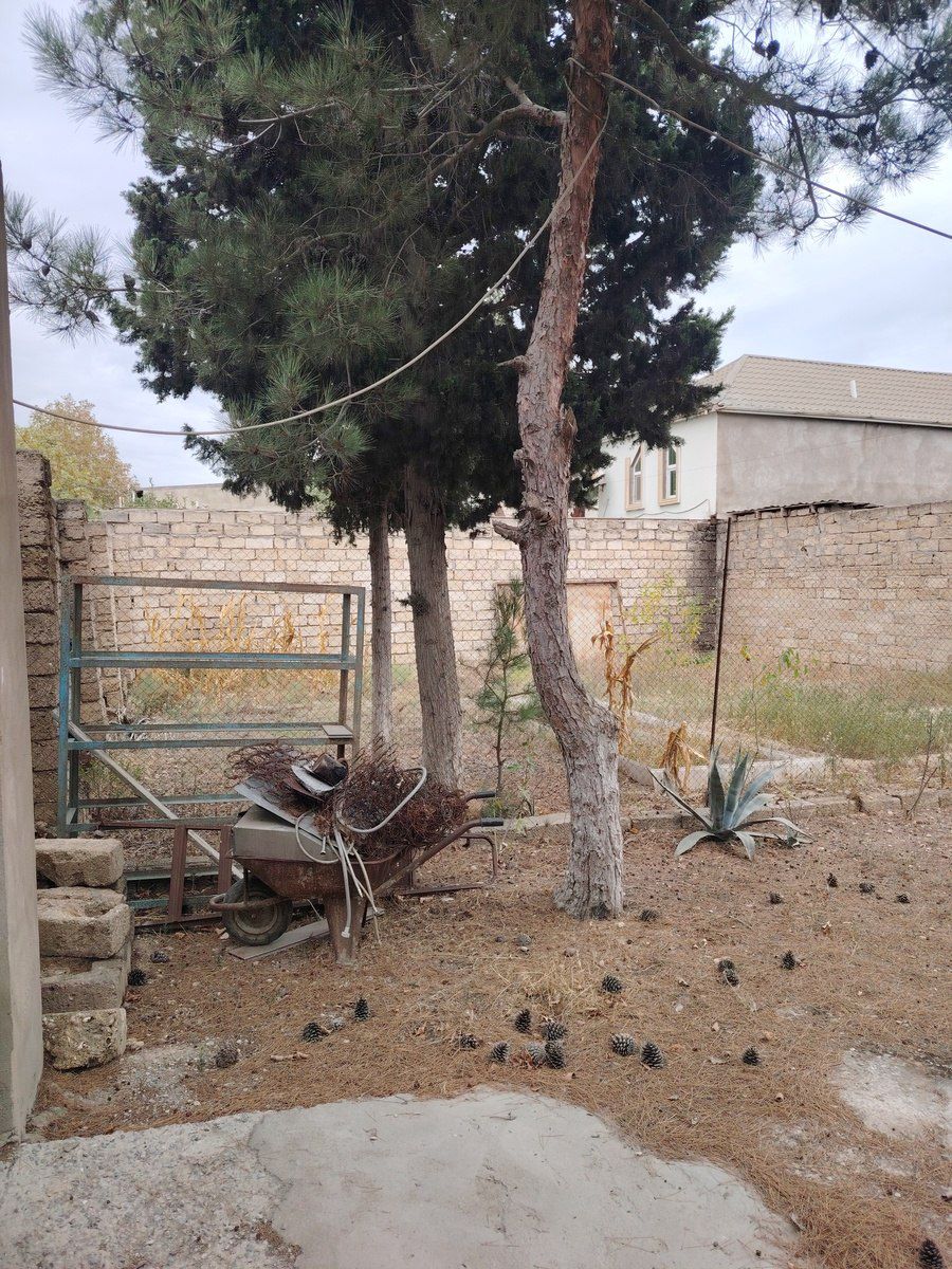 Satılır torpaq 15 sot — Torpaq, Bakı (7)