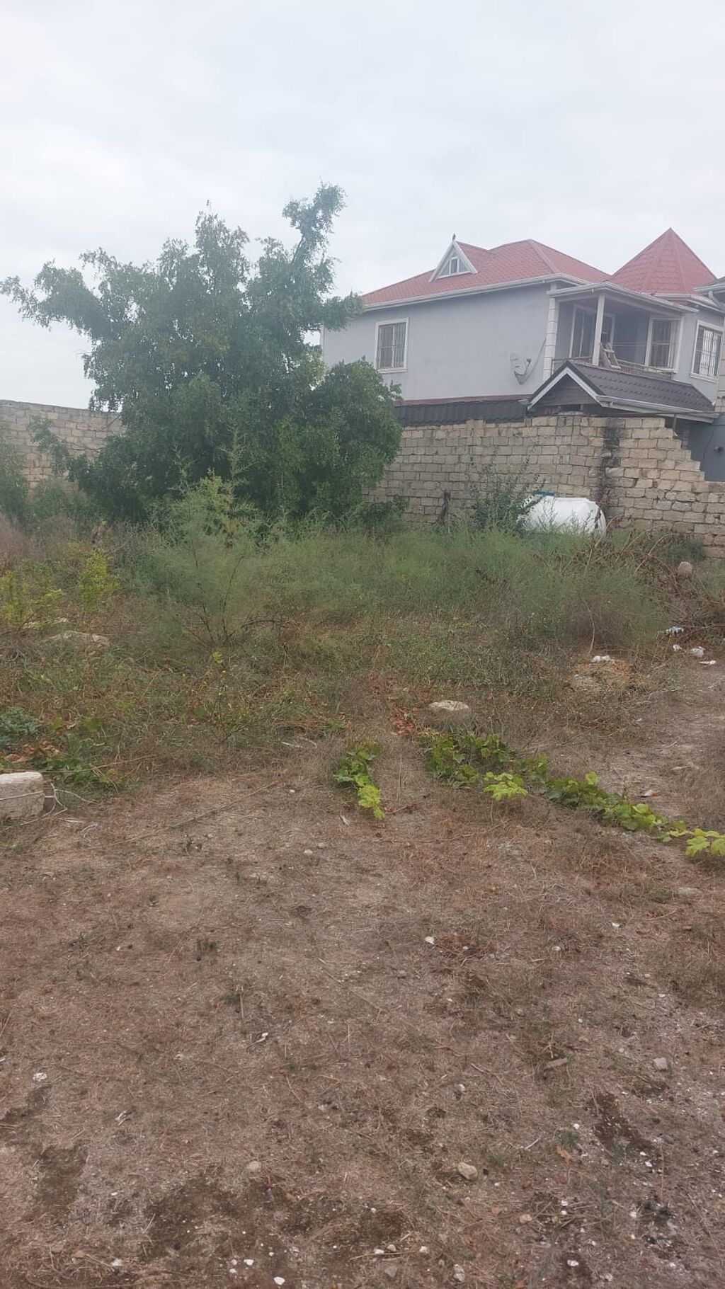 2 sot, Tikinti, Mülkiyyətçi, Kupça (Çıxarış) — Torpaq, Bakı