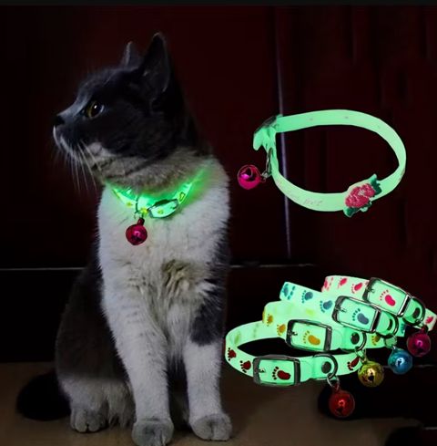 Boyunluq Glow-in-the-Dark, yaşıl, məhsul çeşiddə — Bakı