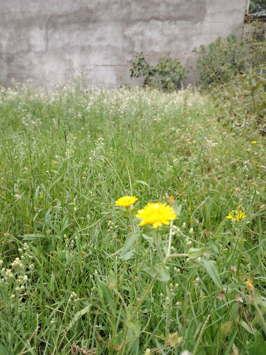 Satılır torpaq 15 sot — Torpaq, Bakı (12)