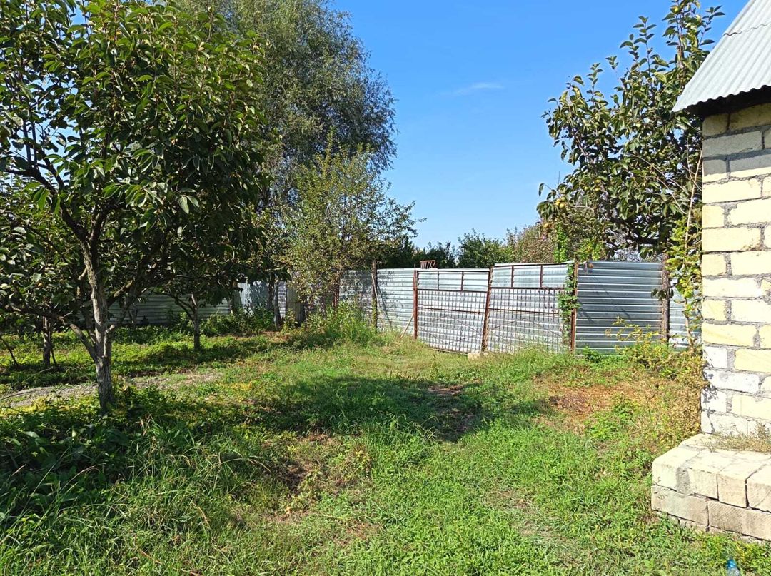 Satılır torpaq 152 sot — Torpaq, Göyçay (2)
