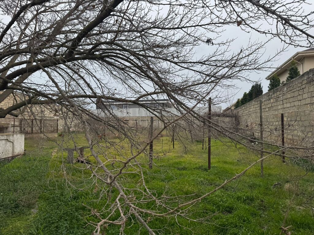 Satılır torpaq 25 sot — Torpaq, Bakı (3)