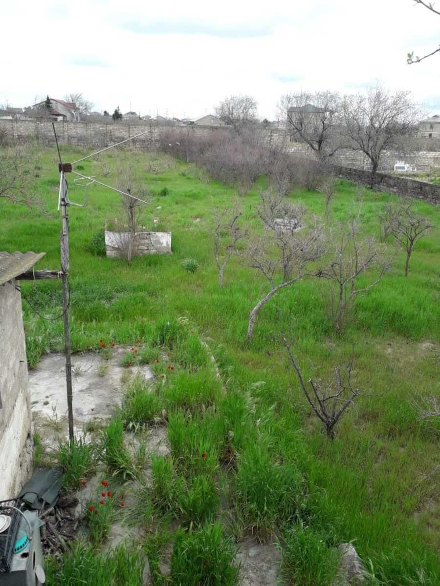 Satılır torpaq 23 sot — Torpaq, Bakı (2)