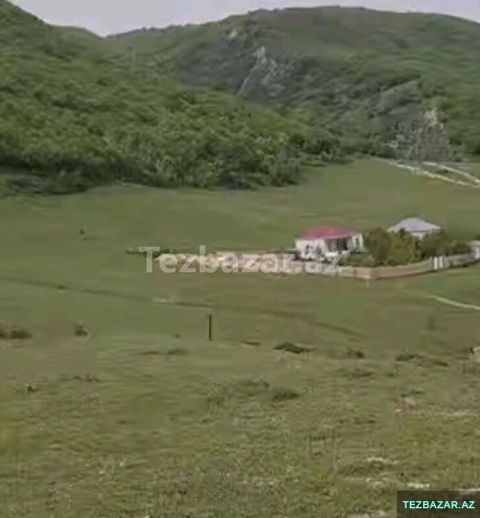 Şamaxı torpaq — Şamaxı