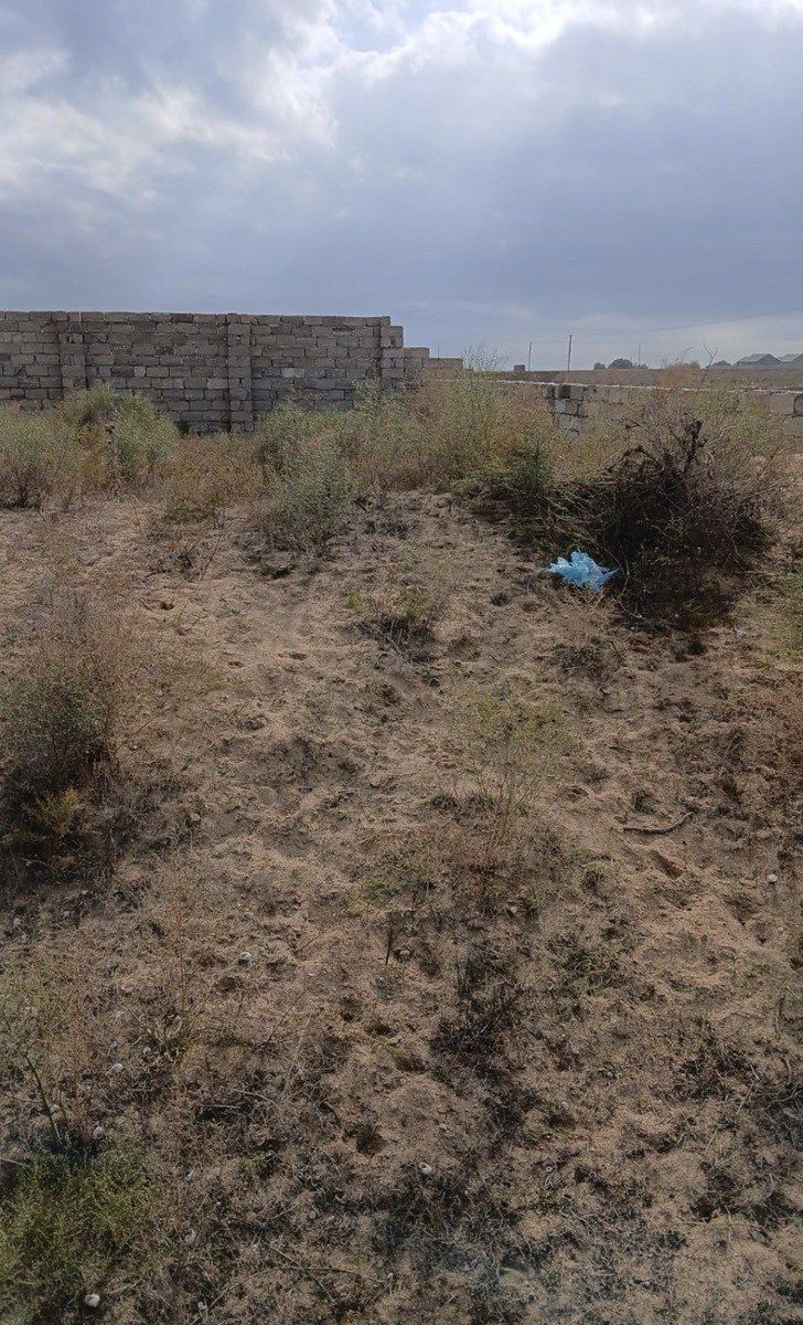 Satılır torpaq 6 sot — Torpaq, Bakı (5)