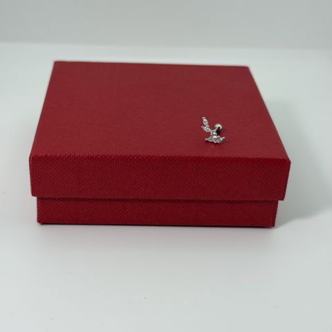 Pirsinq üçün sırğa GC1009, gümüş 925 əyar — Bakı