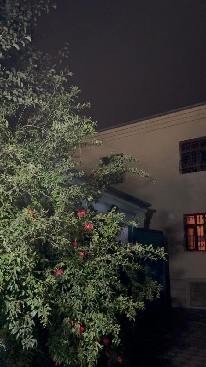 Satılır 11 otaqlı həyət evi/bağ evi 501 m² — Ev, villa, Bakı (6)