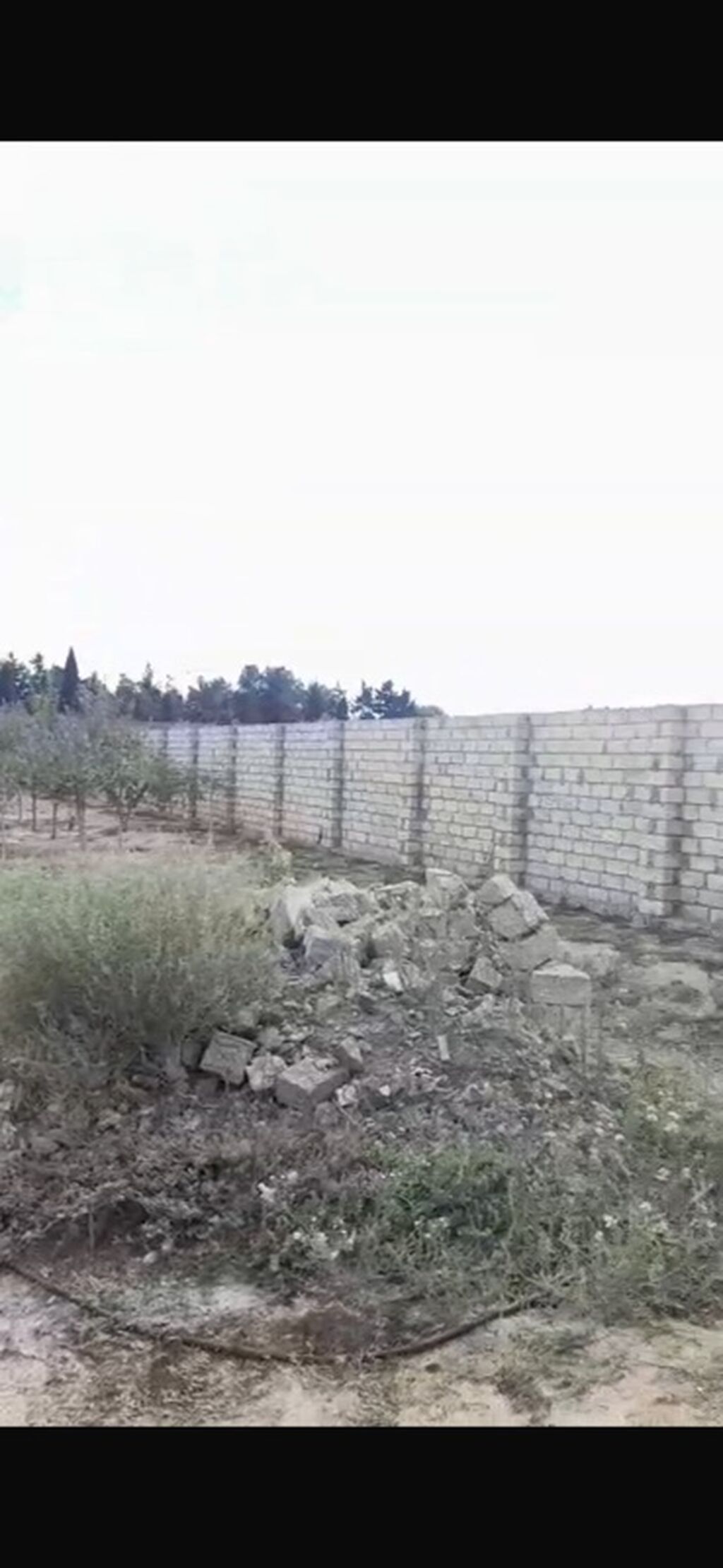 Kənd təsərrüfatı, Maklerlər narahat etməsin, Kupça (Çıxarış) — Torpaq, Bakı (2)