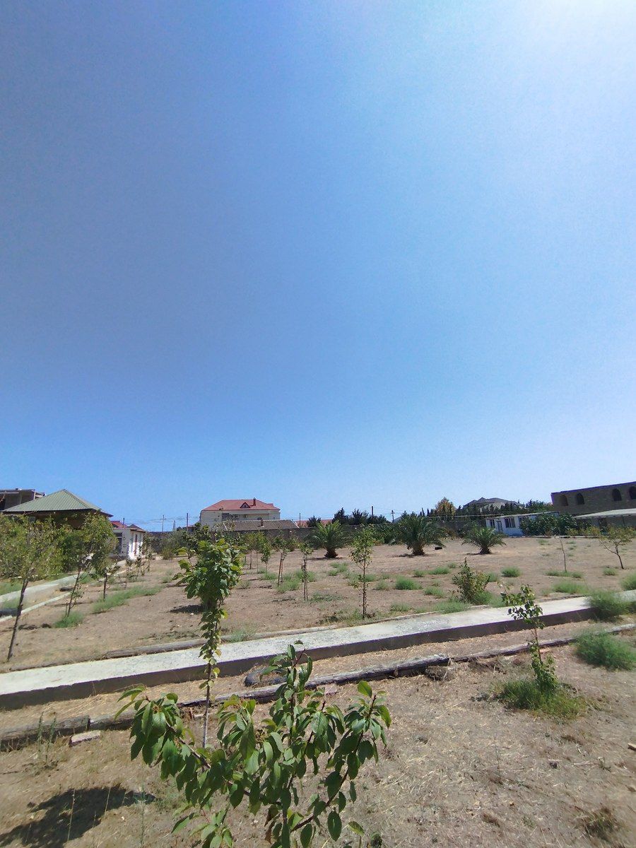 Satılır torpaq 45 sot — Torpaq, Bakı (6)