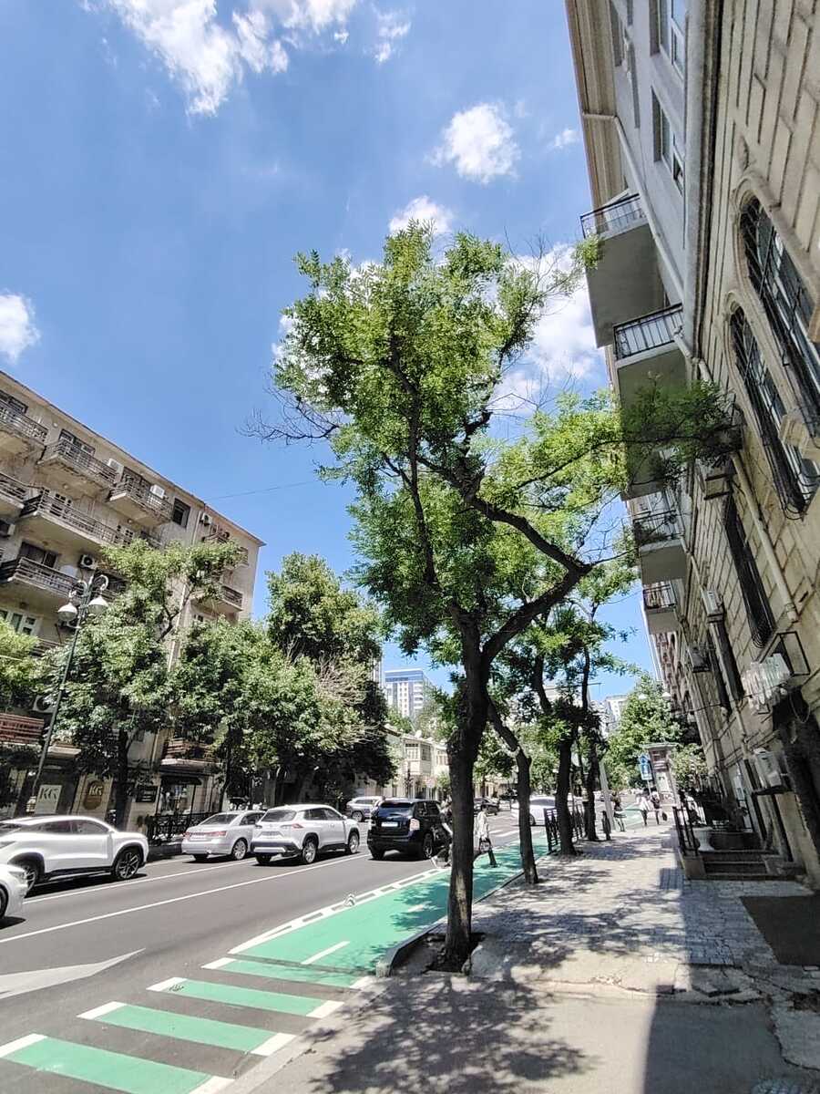 İcarəyə verilir 2 otaqlı köhnə tikili 40 m² — Mənzil, Bakı (8)