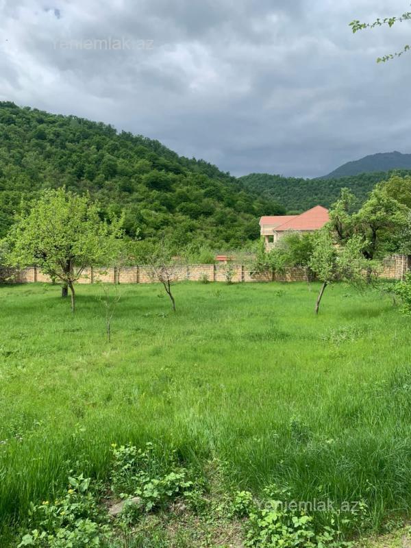 Satılır Torpaq sahəsi, 15 sot, Qəbələ — Torpaq, Qəbələ (4)