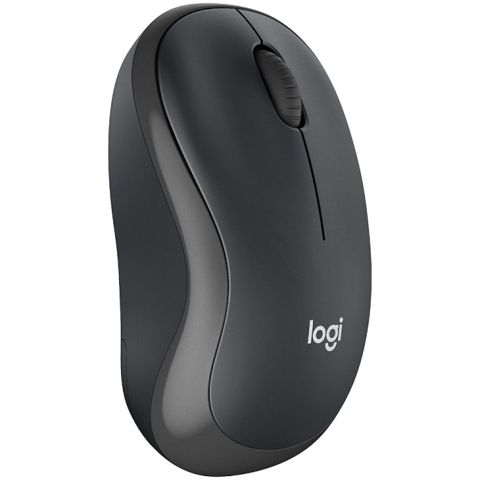 Logıtech M240 Bluetooth Mouse - Graphıte - Sılent (910-007119) — Bakı