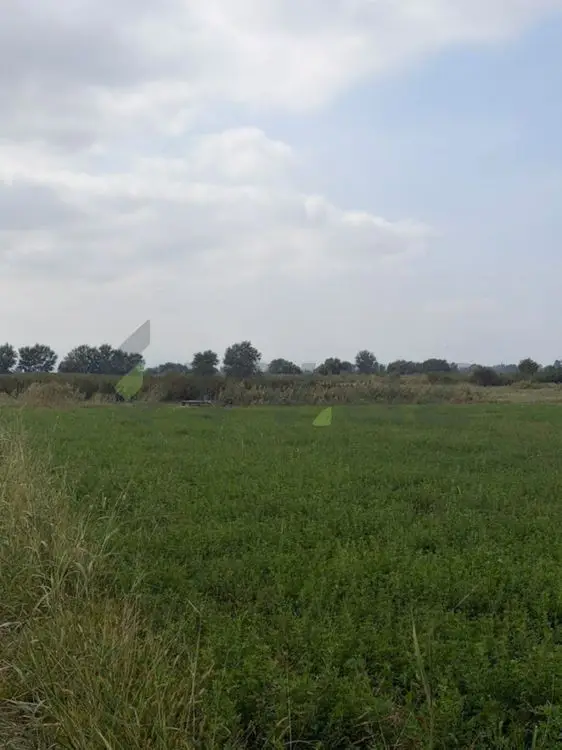 114 sot Torpaq Satılır, Xaçmaz — Torpaq, Xaçmaz (2)