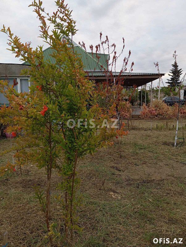 Torpaq Satılır Sabunçu r., Nardaran q., 12 sot — Torpaq, Bakı (2)