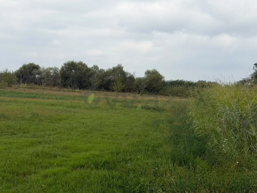 114 sot Torpaq Satılır, Xaçmaz — Torpaq, Xaçmaz (12)