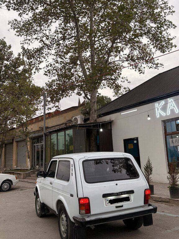 Lada (VAZ) Niva, 1.6 L, 2010 il, 55 000 km — Avtomobillər, Gəncə (4)
