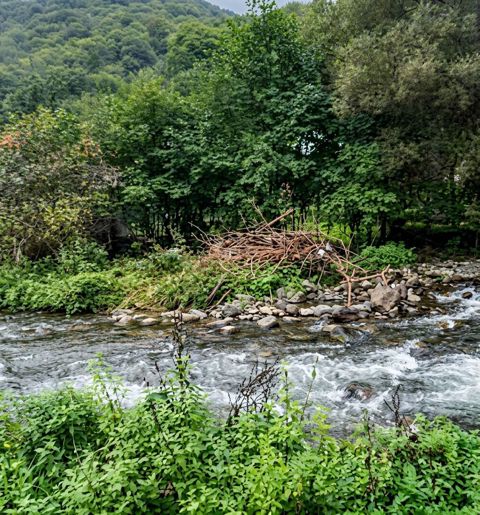 3 sot, Tikinti, Mülkiyyətçi, Kupça (Çıxarış) — Gəncə