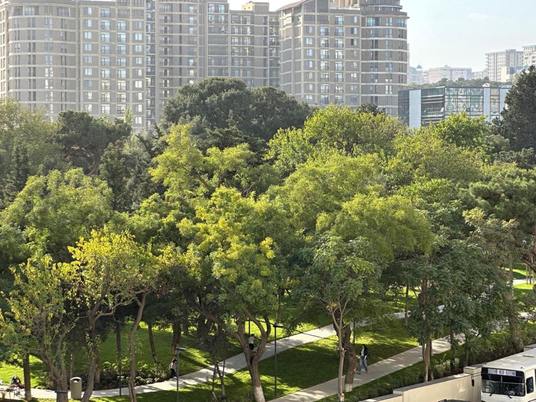 Satılır 3 otaqlı yeni tikili 136 m² — Mənzil, Bakı (2)