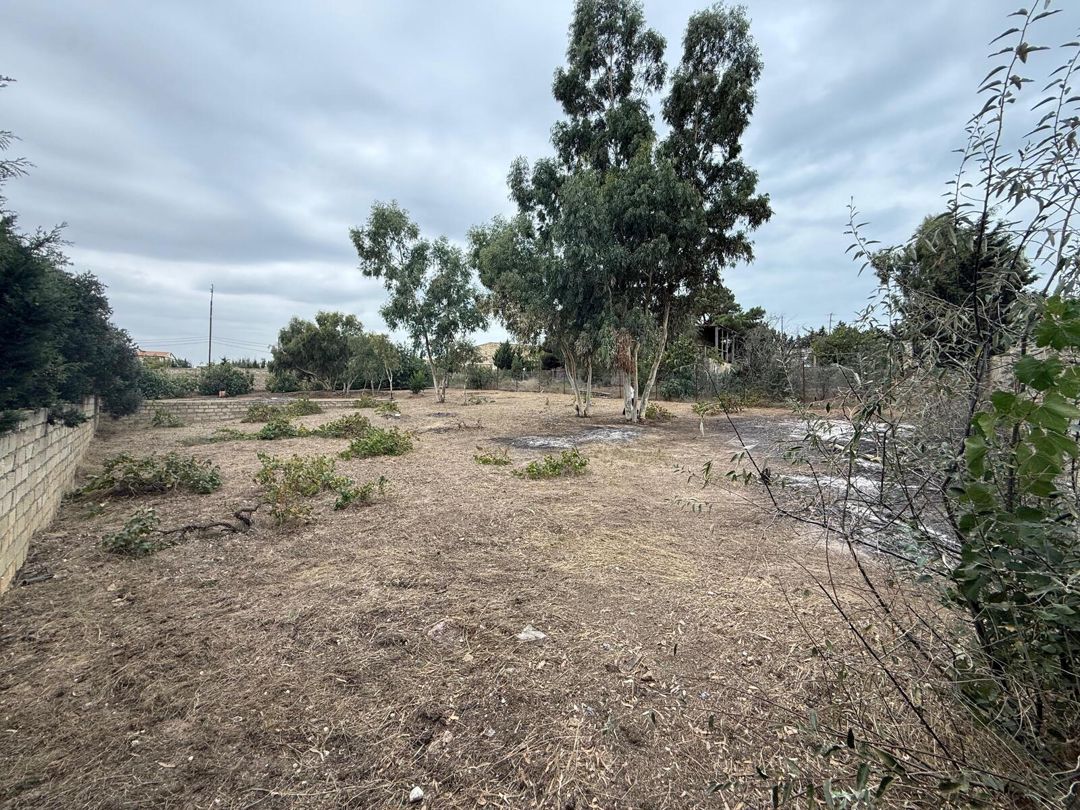 Satılır torpaq 6 sot — Torpaq, Bakı (4)