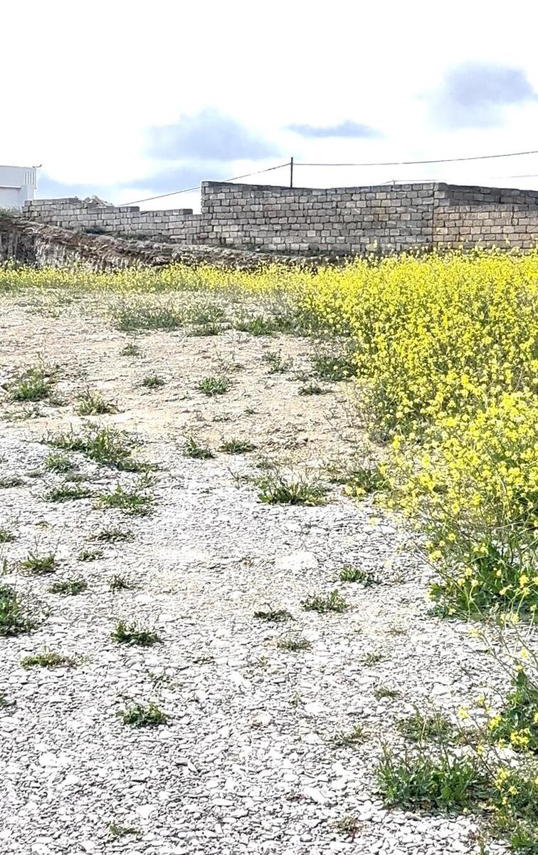 Satılır torpaq 7 sot — Torpaq, Bakı (7)