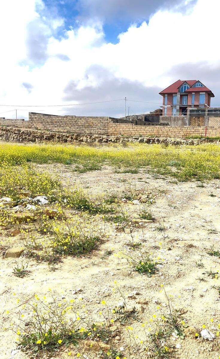 Satılır torpaq 7 sot — Torpaq, Bakı (5)