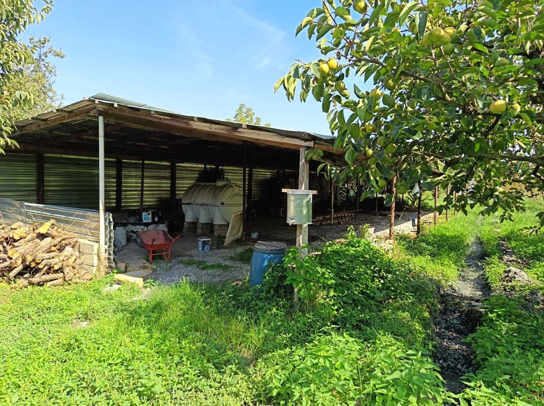 Satılır torpaq 152 sot — Torpaq, Göyçay (3)