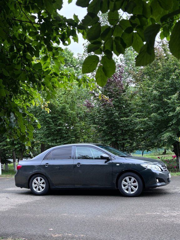 Toyota Corolla, 1.6 L, 2008 il, 318 574 km — Avtomobillər, Lənkəran (6)